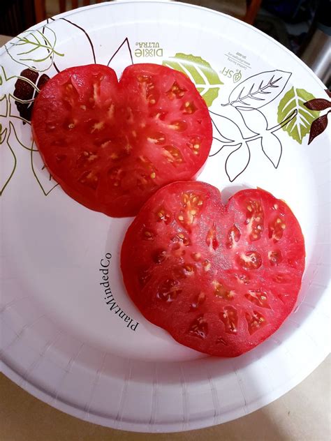 Big Red Tomato Heirloom The Original Great Tasting Etsy