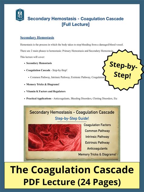 Intrinsic Pathway Coagulation Cascade