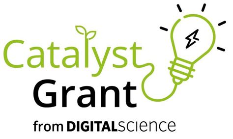 Catalyst Grant From Digital Sc Image Eurekalert Science News Releases