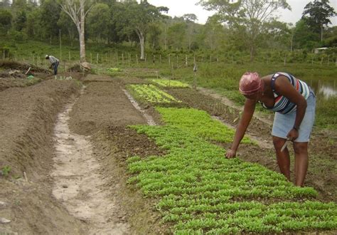 Incra Altera Inscri Es Para Sele O De Benefici Rios Para