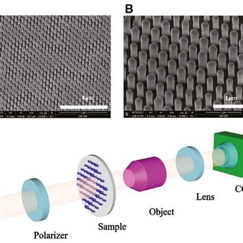 Sample Fabrication And Experimental Setup A B Side View Of The SEM