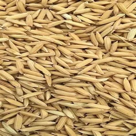 Dried Brown Vedha Plus Paddy Seeds For Agriculture Packaging Type