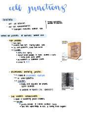 Cell Junctions Pdf Junctions Cell Functions Communication Cell Cell