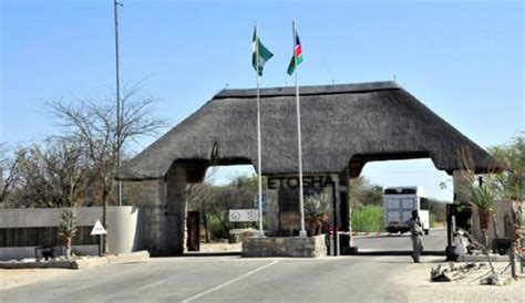 Etosha National Park National Parks In Africa