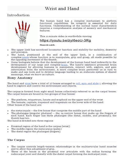 Wrist and Hand Anatomy | PDF | Hand | Thumb