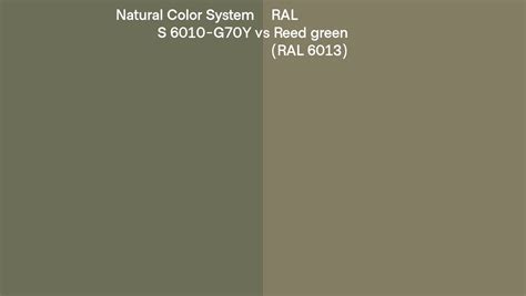 Natural Color System S 6010 G70y Vs Ral Reed Green Ral 6013 Side By