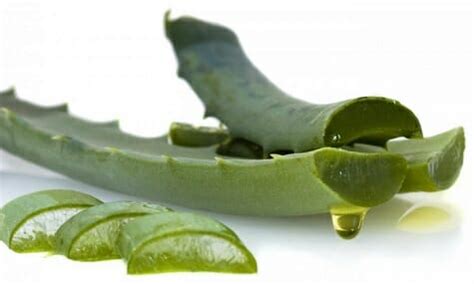 Como Hacer Gel De Aloe Vera Casero