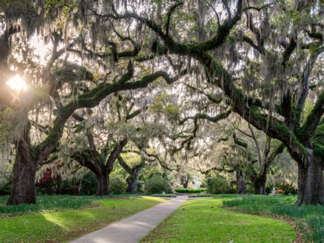 21 Best South Carolina Attractions in 2023 | Travellers 🧳