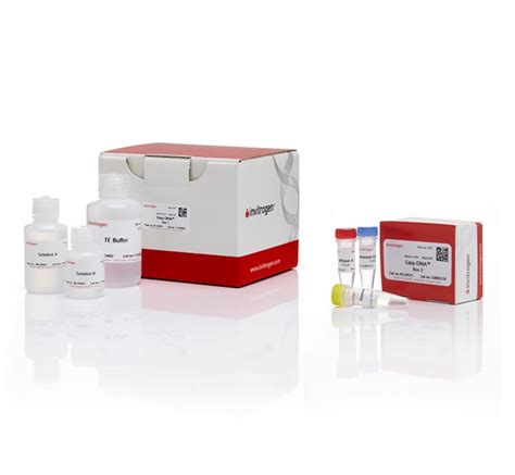 Invitrogen Easy Dna Gdna Purification Kit 1 Kitmolecular Biology