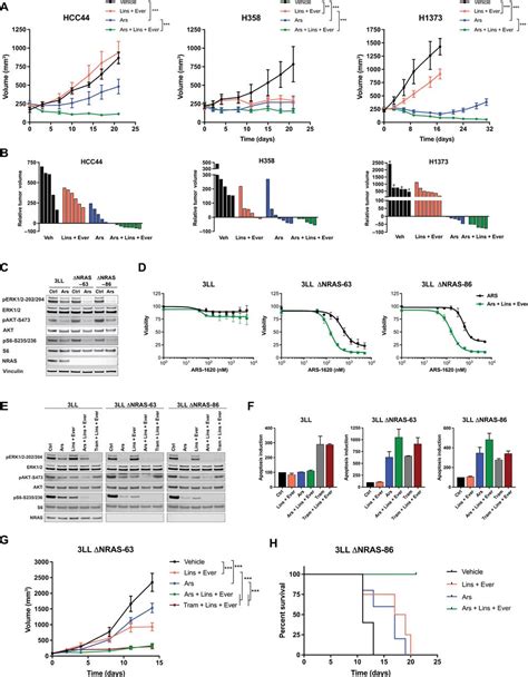 Development Of Combination Therapies To Maximize The Impact Of Kras G12c Inhibitors In Lung