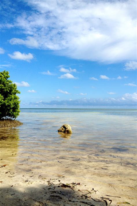 Anne's Beach, Islamorada | Islamorada, Beach, South florida