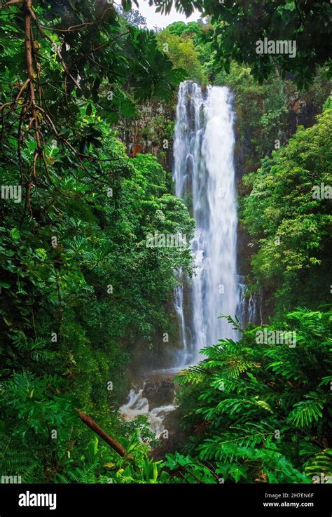 Picturesque Wailua Falls Hana Highway Hana Coast Maui Hawaii Stock