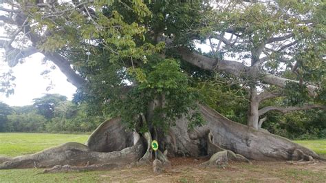 tibbets brook aquatic park  yonkers  york kid friendly