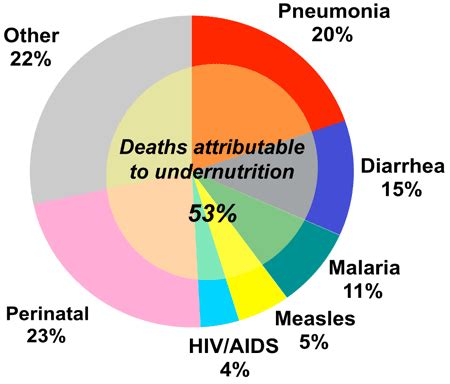 What is malnutrition? - Malnutrition