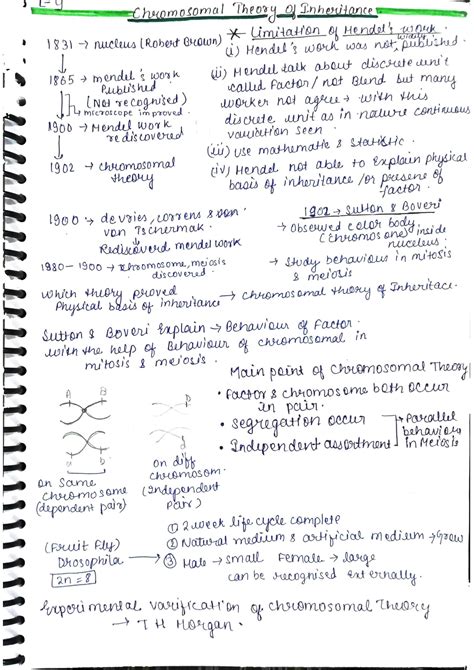 Solution Chromosomal Theory Of Inheritance Sex Determination Class