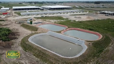 Mercado Agroganadero de Cañuelas La nueva capital del campo 951 2021