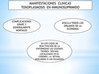 Toxoplasmosis Pptx