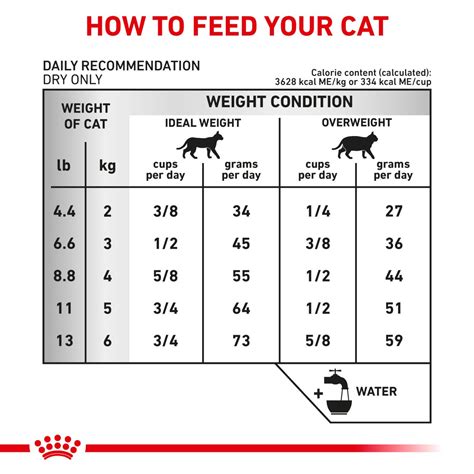 Feline Urinary SO Hydrolyzed Protein