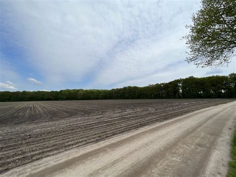 Percelen Landbouwgrond En Bos Lunteren En Ede Noordanus Partners