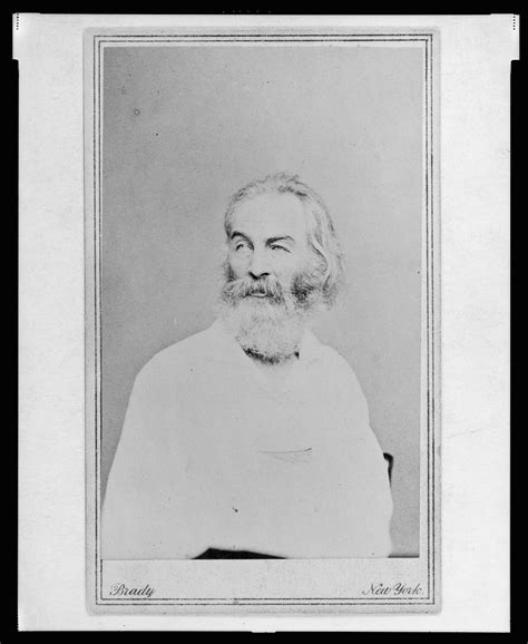 Walt Whitman Half Length Portrait Seated In Chair Facing Left