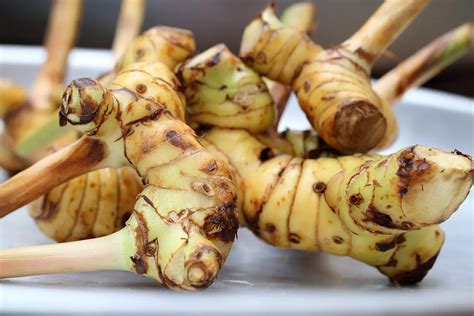 Top Substitutes For Galangal To Spice Up Your Recipe The Roaming Fork