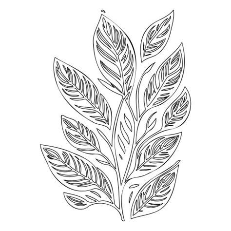 Ash Leaf Floral Outline Sketch Royalty Free Vector Image