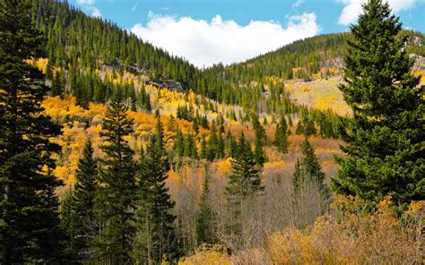 Fall Colors Near Denver: 11 Of The Best Spots Recommended By A Local ...