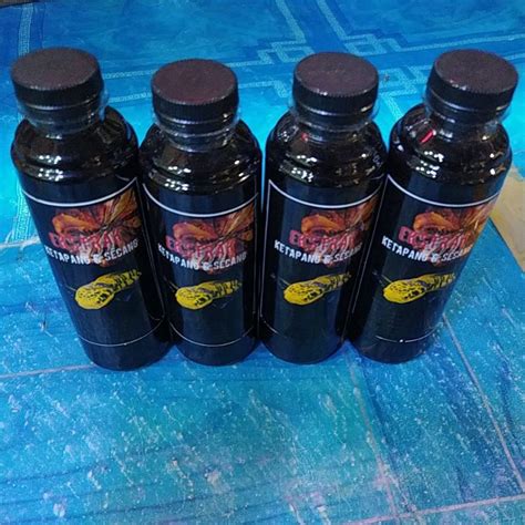 Jual Ekstrak Ketapang 250 Ml Super Pekat Shopee Indonesia