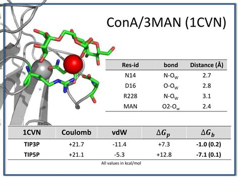 Ppt Quantifying The Energetics Of Highly Conserved Water Molecules In