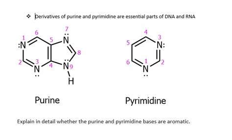 SOLVED: Derivatives of purine and pyrimidine are essential parts of DNA ...