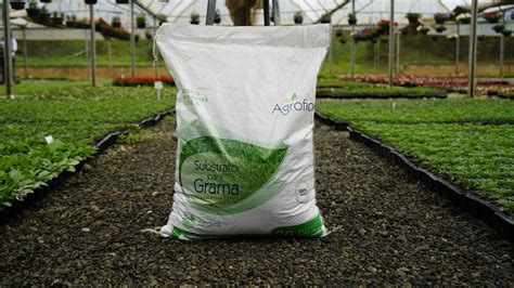 Substrato Para Grama 20 Litros Agrofior