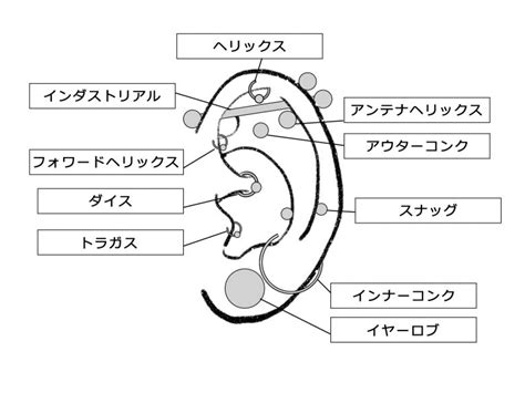 【初心者向け】ピアスの付け方│ファーストピアス、セカンドピアス着用時の注意点も解説│lupis（ルピス）激安アクセサリー通販 公式ブログ