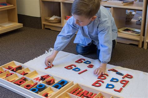 The Origins Of Language Hollis Montessori School Nh