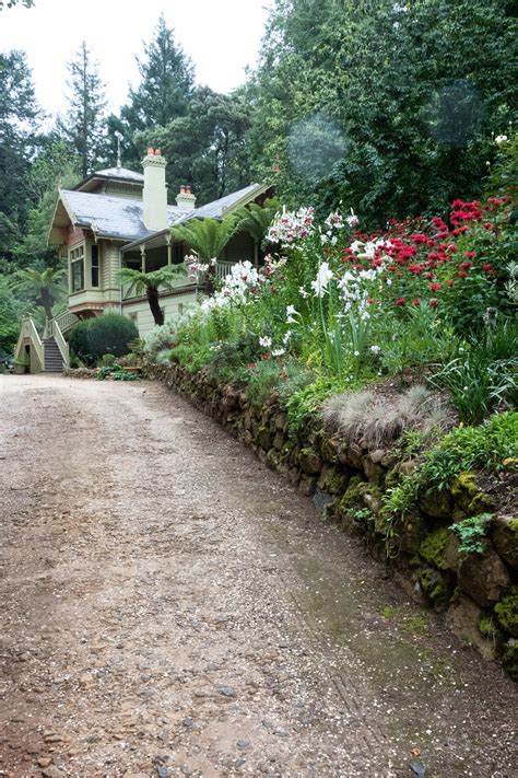 How to plant on a slope - The Middle-Sized Garden | Gardening Blog