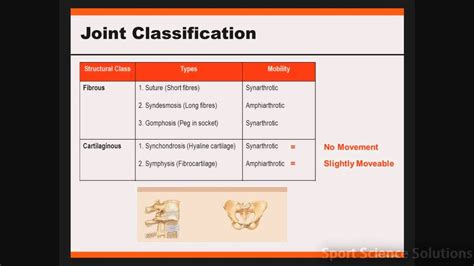 Joint Classification Youtube