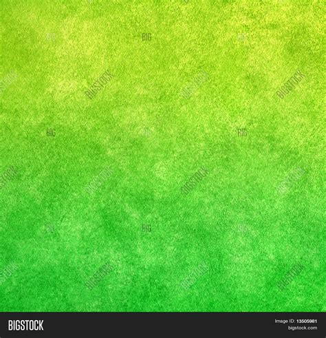 Lime Green Paint Image & Photo (Free Trial) | Bigstock