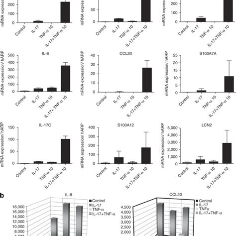 Tumor Necrosis Factor Tnf Broadly Modulates Keratinocyte Gene