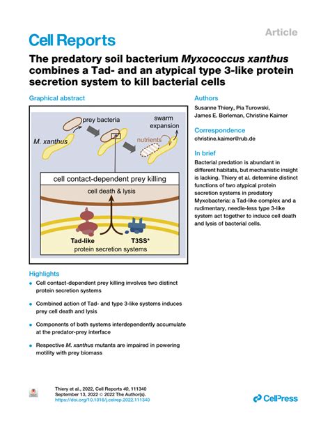 Pdf The Predatory Soil Bacterium Myxococcus Xanthus Combines A Tad