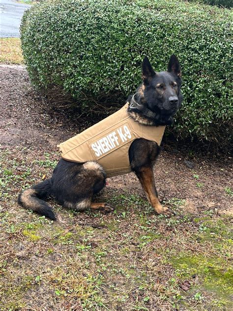 Floyd County Sheriffs Office K9 Amigo Receives Bulletproof Vest Body