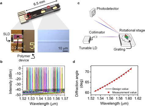 Polymer Waveguide Tunable Laser And Beam Scanning Through The Blazed