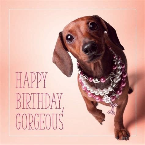 Dachshund Happy Birthday