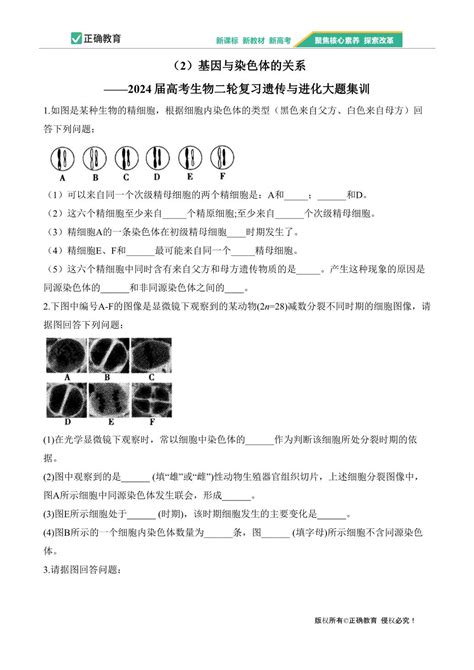 （2）基因与染色体的关系——2024届高考生物二轮复习遗传与进化大题集训 正确云资源