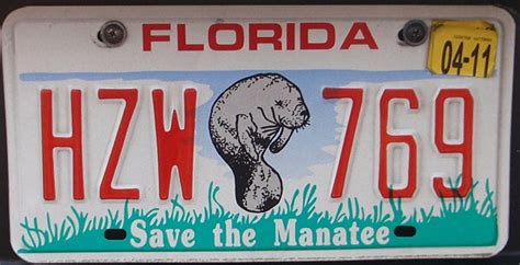 Florida license plate number lookup - repase