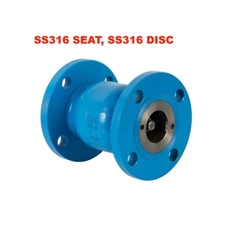 Cast Ductile Din Stainless Steel Vertical Non Slam Check Valves Dn