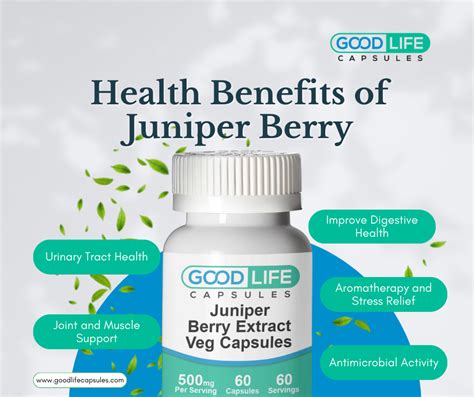 Health Benefits of Juniper Berry Extract - Good Life Capsules