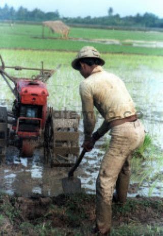 Petani Membajak Sawah Dengan Traktor Di Karawang Datatempo