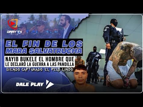 El Fin De Los Mara Salvatrucha Nayib Bukele El Hombre Que Le Declar La