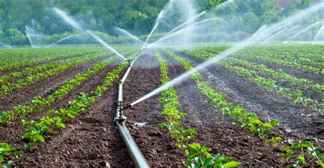 Reutilización Del Agua En La Agricultura Escuelapedia Recursos