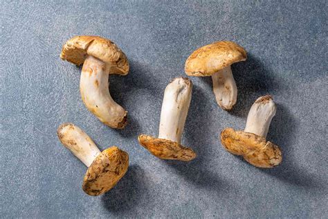 What Are Matsutake Mushrooms And How Are They Used