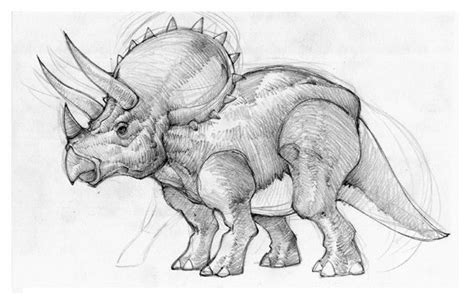 Triceratops Drawing